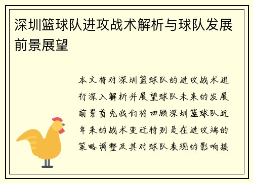 深圳篮球队进攻战术解析与球队发展前景展望